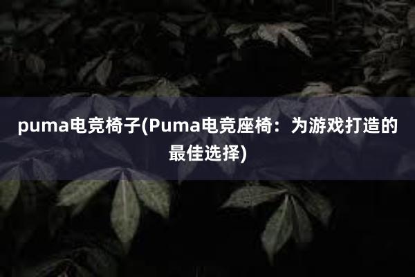 puma电竞椅子(Puma电竞座椅：为游戏打造的最佳选择)