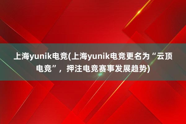 上海yunik电竞(上海yunik电竞更名为“云顶电竞”，押注电竞赛事发展趋势)