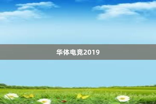 华体电竞2019