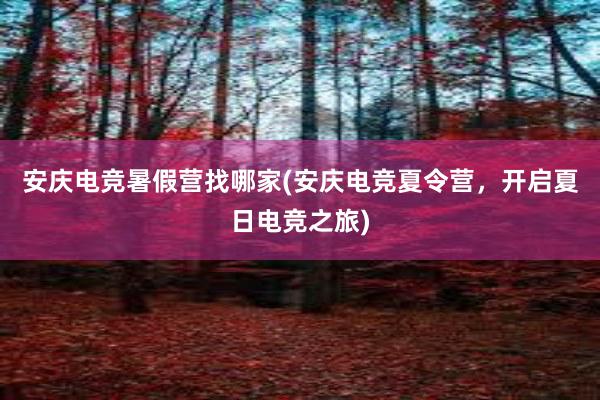 安庆电竞暑假营找哪家(安庆电竞夏令营，开启夏日电竞之旅)