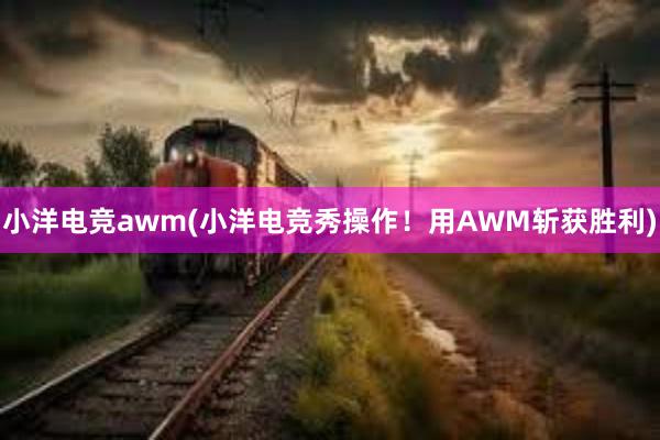 小洋电竞awm(小洋电竞秀操作！用AWM斩获胜利)