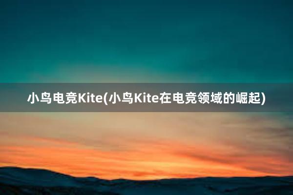 小鸟电竞Kite(小鸟Kite在电竞领域的崛起)