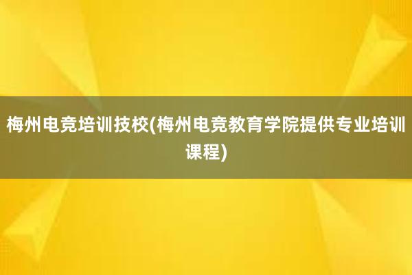 梅州电竞培训技校(梅州电竞教育学院提供专业培训课程)