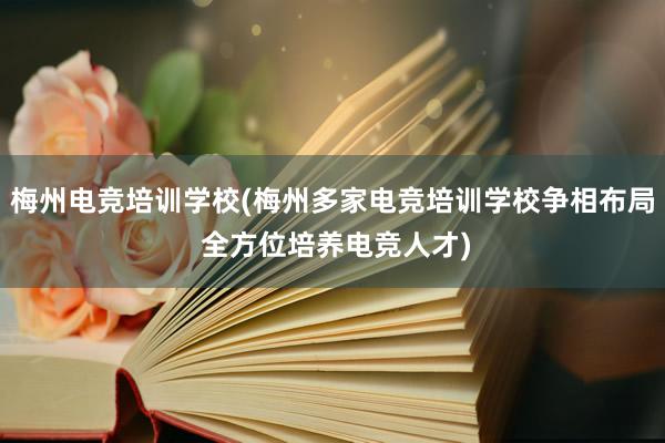 梅州电竞培训学校(梅州多家电竞培训学校争相布局 全方位培养电竞人才)