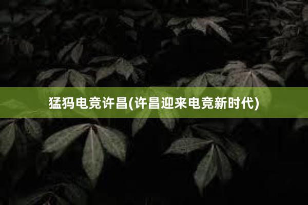 猛犸电竞许昌(许昌迎来电竞新时代)