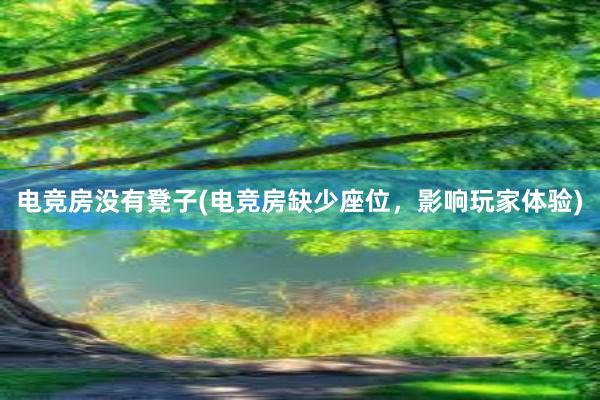 电竞房没有凳子(电竞房缺少座位，影响玩家体验)