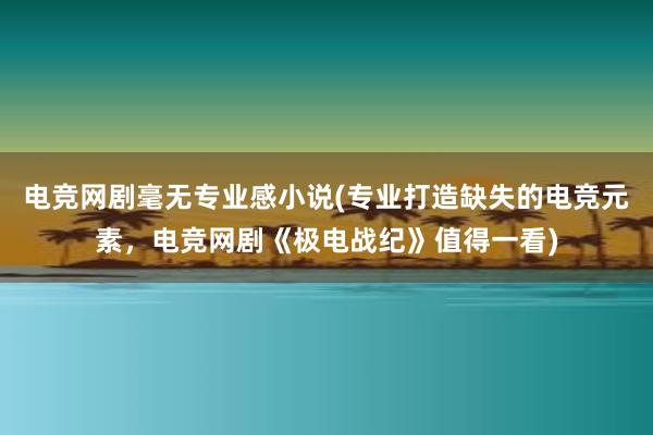 电竞网剧毫无专业感小说(专业打造缺失的电竞元素，电竞网剧《极电战纪》值得一看)