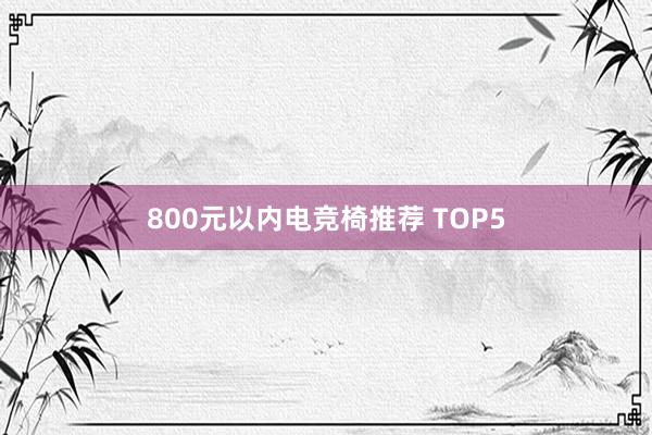 800元以内电竞椅推荐 TOP5