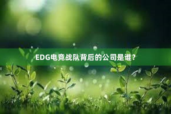 EDG电竞战队背后的公司是谁？