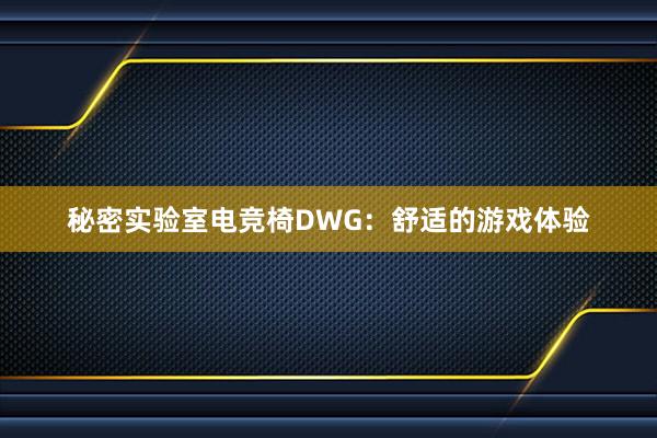 秘密实验室电竞椅DWG：舒适的游戏体验