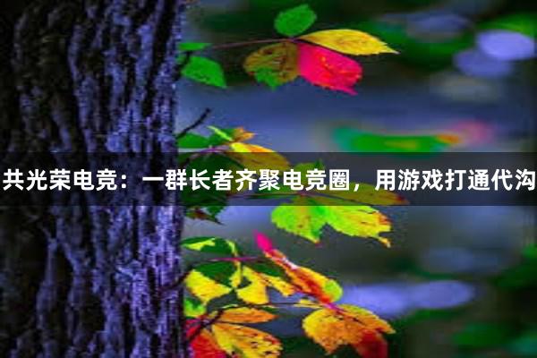 共光荣电竞：一群长者齐聚电竞圈，用游戏打通代沟