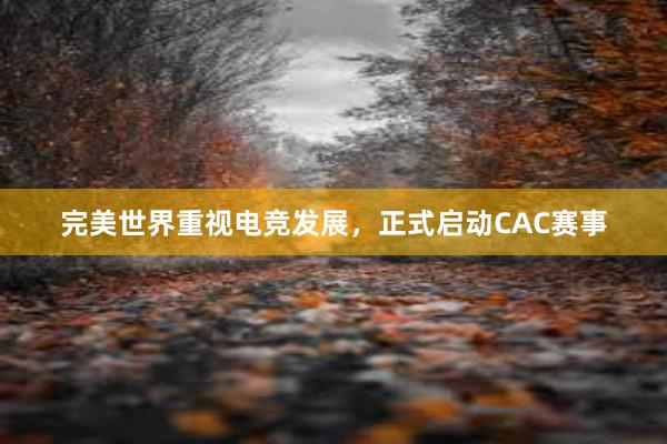 完美世界重视电竞发展，正式启动CAC赛事