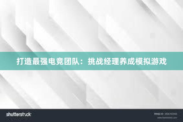 打造最强电竞团队：挑战经理养成模拟游戏