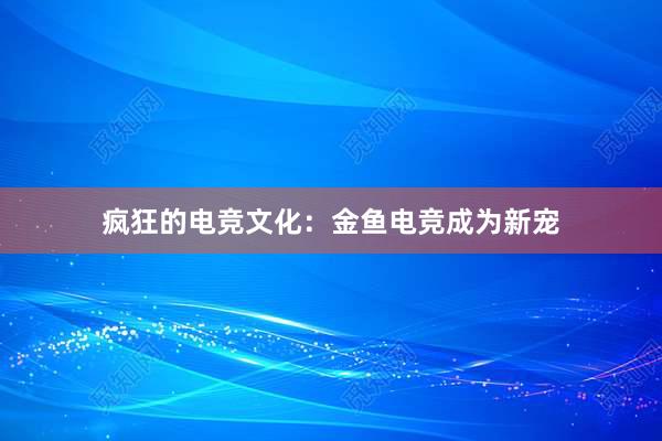 疯狂的电竞文化：金鱼电竞成为新宠